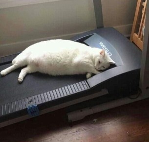 Жителям ЛНР заплатят за занятия спортом