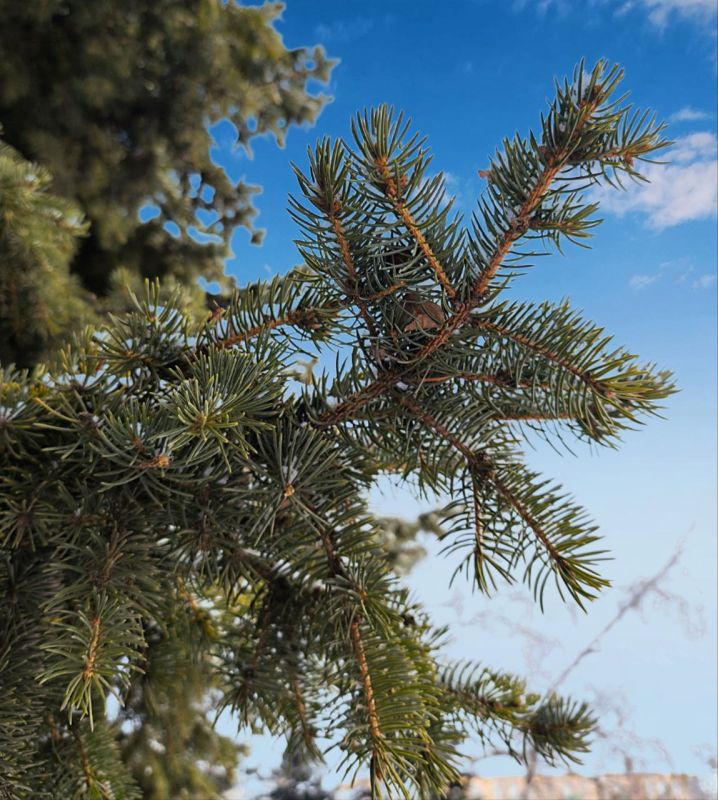 С добрым утром, кировчане!!!