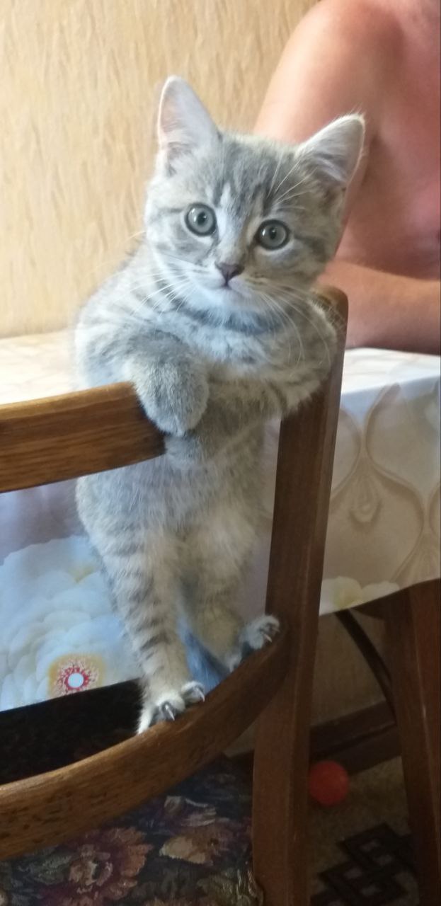 4 февраля на территории Луганской Народной Республики прогнозируется переменная облачность