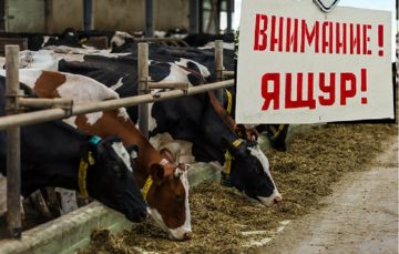 ��������, ����!. ���� � ��������, ���������������� ������� �������� � ����� ������������� ��������, ����������������� ���������� � ����������� ��������� �������� ������� � ������� ��������, ���� ������ � �����������