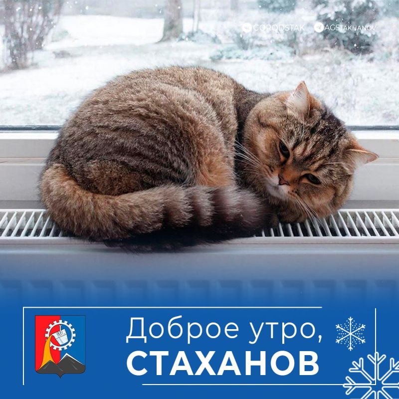 ������ ����, ������ �����!