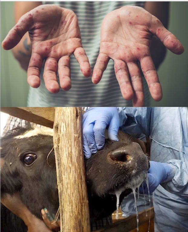 ���� � ��������, ����� ����������� ������� �������� � ����� ������������� ��������, ����������������� ���������� � ��������� (������������) ����������� ��������� �������� ������� �������, ���� ������ � �����������