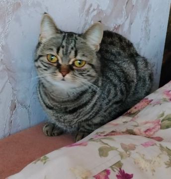 7 ������� �� ���������� ��������� �������� ���������� ����� ������� � �����������