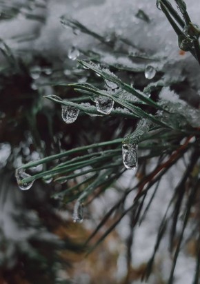 � ������ �����, ������ ����������� �������������� ������ !