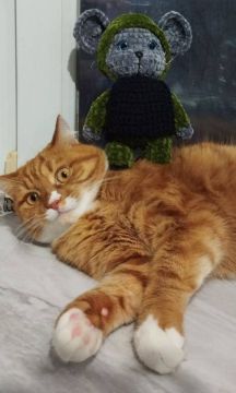 8 ������� �� ���������� ��������� �������� ���������� ����� �������