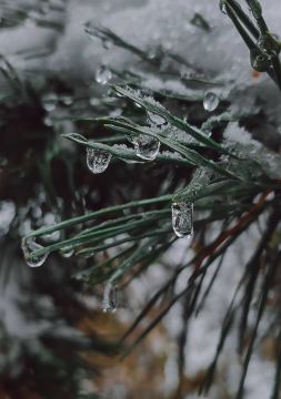 � ������ �����, ������ ����������� �������������� ������ !