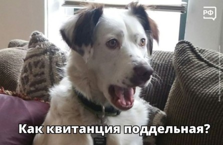 �� �������, ��� ���� ��������� �� ��� � ���������, � �� ����������?