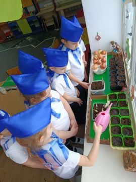 ������-��������� ������� ������� � ������� ������� �� ������