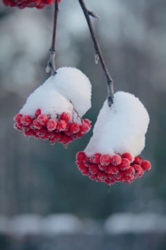 ������ ����! ����� 11 �������