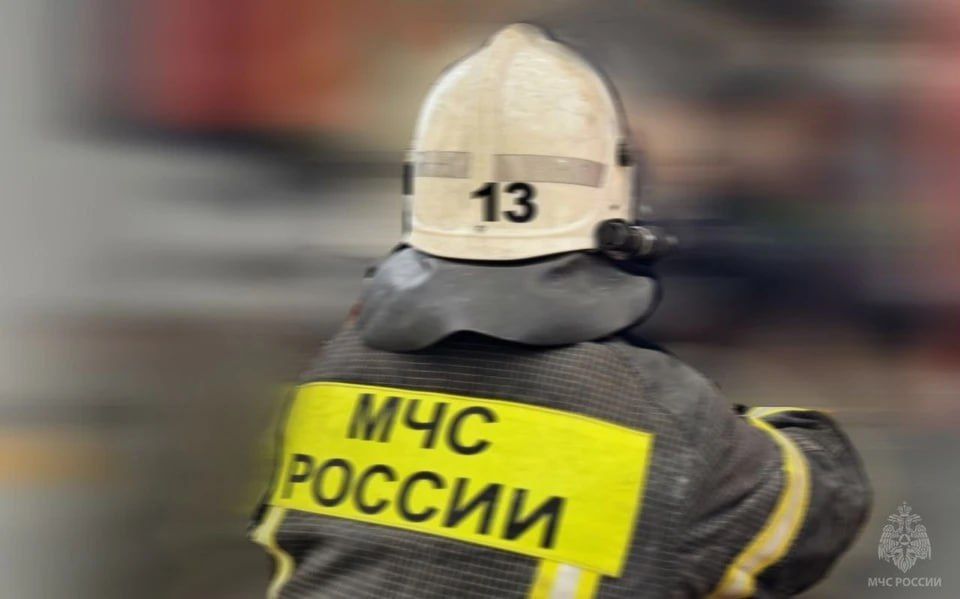 ���� ������� ����������� ������� �� ����