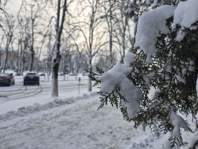 ������ ����, �������!. ��� �� �� ���� ������� �������, ������ ���� ������ ��������� ���� ������������� ������ ���