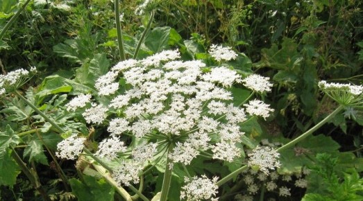 ��������, �����������, ����� ����. ������ ������� ��� �������� � 2026 ����