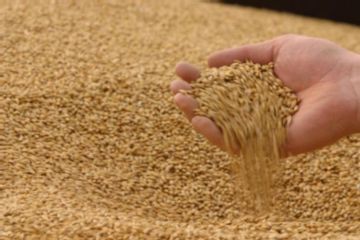 �� ����������� ����� � �� �������� ������