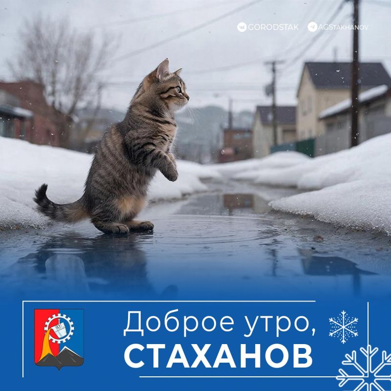 ������ ����, ������ �����!