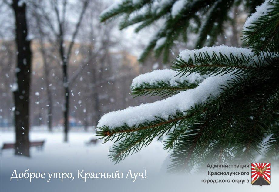 ������ ����, ������������!