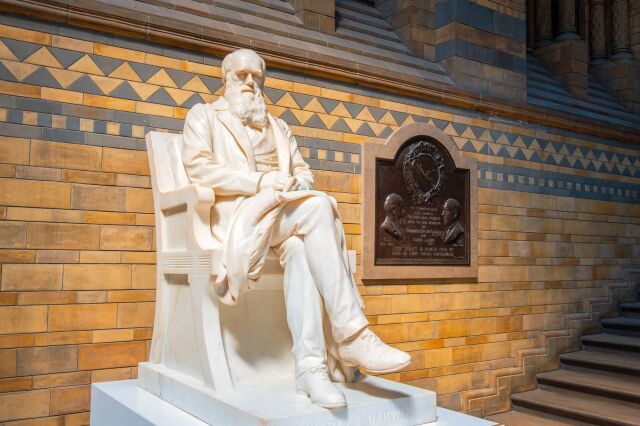 ������ ����, �������!. �������, 12 �������, ���������� ���� ������� � ����, ����������� �������� ������� ������� �������, ������� ������ ������ �������� � ����� ������������ ����� ������ �������