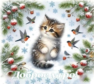 ������� ������� - 13 �������