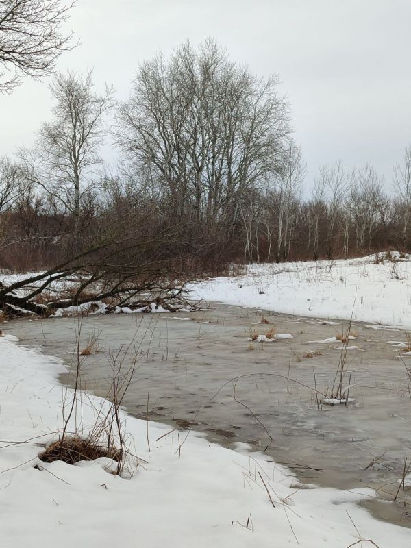 ������ ����! �������, 13-�, ������ ��������� ����� � ����� ������ �������, ������ ������� �� ������� �����