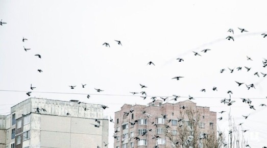 Синоптики прогнозируют 15 февраля в ЛНР до 6 градусов тепла, дождь и мокрый снег