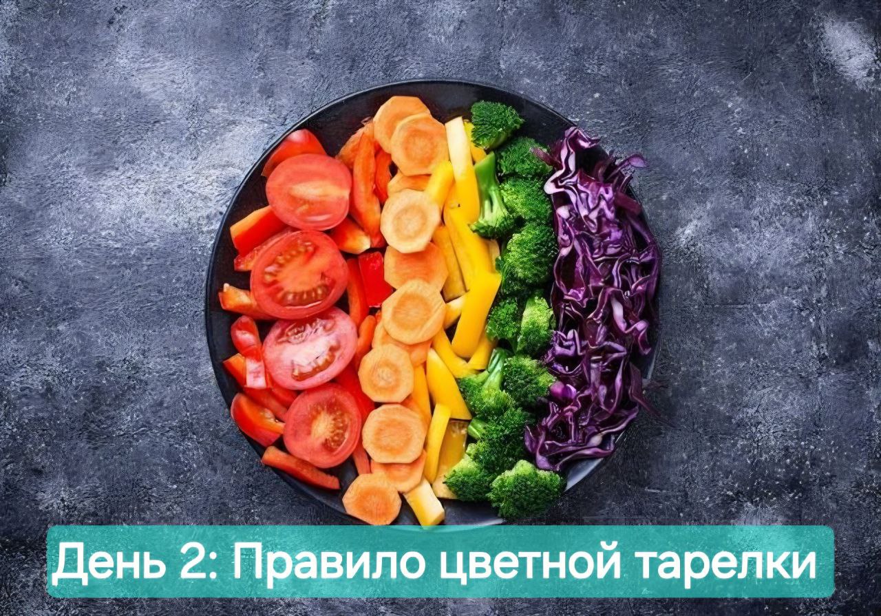 Наталия Пащенко: День 2. Тарелка зрения: почему мы едим глазами