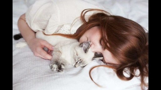 Сон с котом. За и против