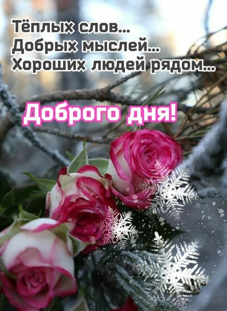 Сегодня Понедельник - 16 Февраля