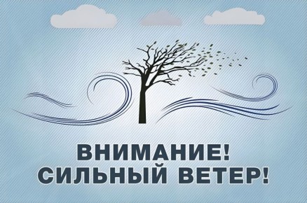 В ЛНР отключения света из-за сильного ветра!