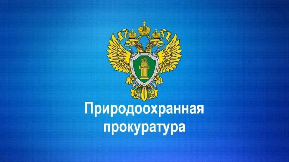 Лисичанско-Рубежанским межрайонным природоохранным прокурором Луганской Народной Республики 19.02.2026 г. будет осуществлен личный прием граждан в муниципальном образовании Белокуракинский муниципальный округ Луганской...