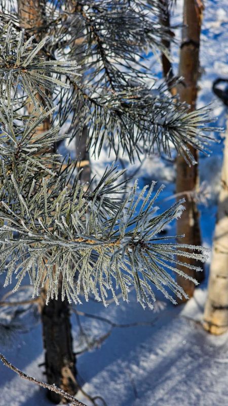 ������ ����!. ������� ��������� ������ �� ������, 17 ������� �����: 2� (��������� ��� 6�), ����� ������-�������� 2 �/�, ��������� 73%, ����: 0� (��������� ��� 5�), ����� ������-��������� 3 �/�, ��������� 59%