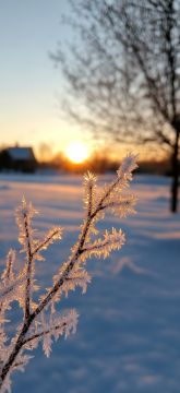 Доброе утро!. А вот и прогноз погоды на среду, 18 февраля Утром: 3° (ощущается как 10°), ветер восточный 6 м/с, Днём: 1° (ощущается как 8°), ветер восточный 7 м/с, Вечером: +1° (ощущается как 7°), ветер восточный 8 м/с...