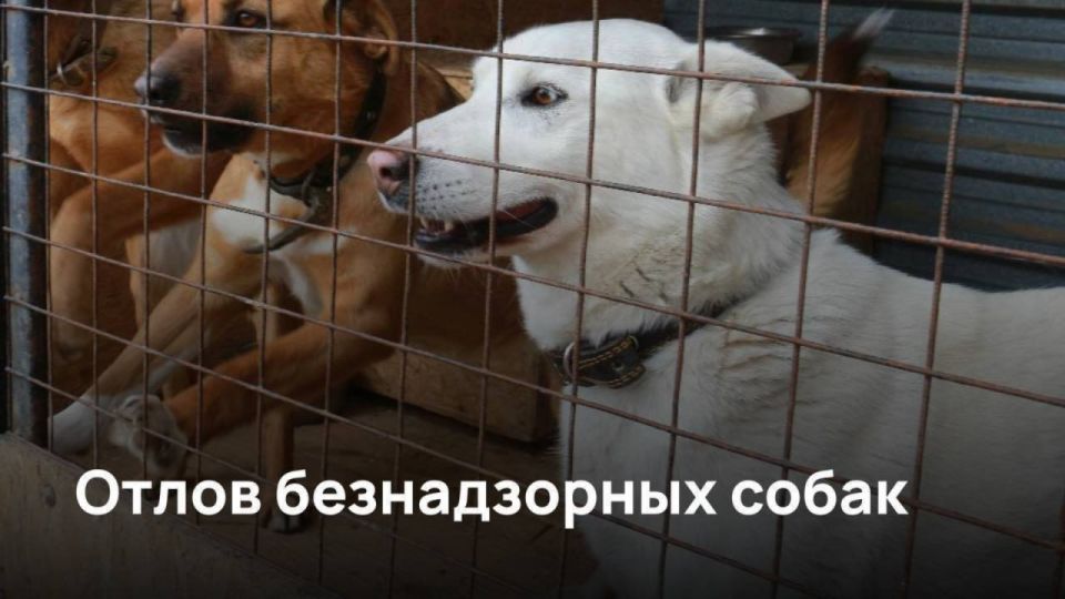 ��������� �������� ��������������� ������!