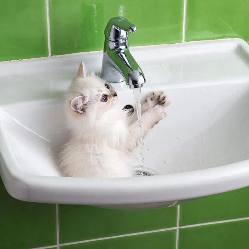 Государственное унитарное предприятие "Лугансквода" назвало адреса, по которым 18 февраля возможно прекращение подачи воды из-за ремонтных работ