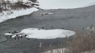 Доброе утро, Луганск!. Солнце взошло, чтобы осветить твой путь к победе