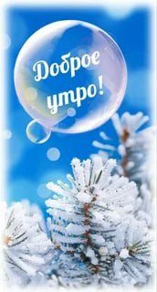 Сегодня Среда - 18 Февраля