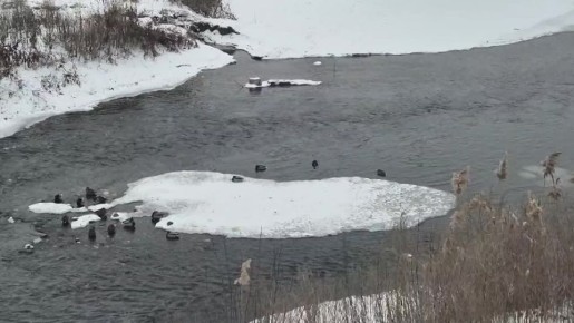 Доброе утро, Луганск!. Солнце взошло, чтобы осветить твой путь к победе