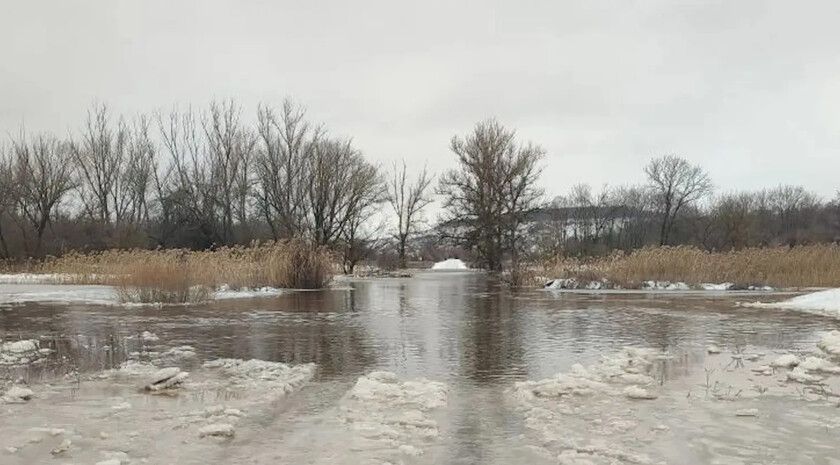 ����������� 12 ����������� ������ ������������� � ���