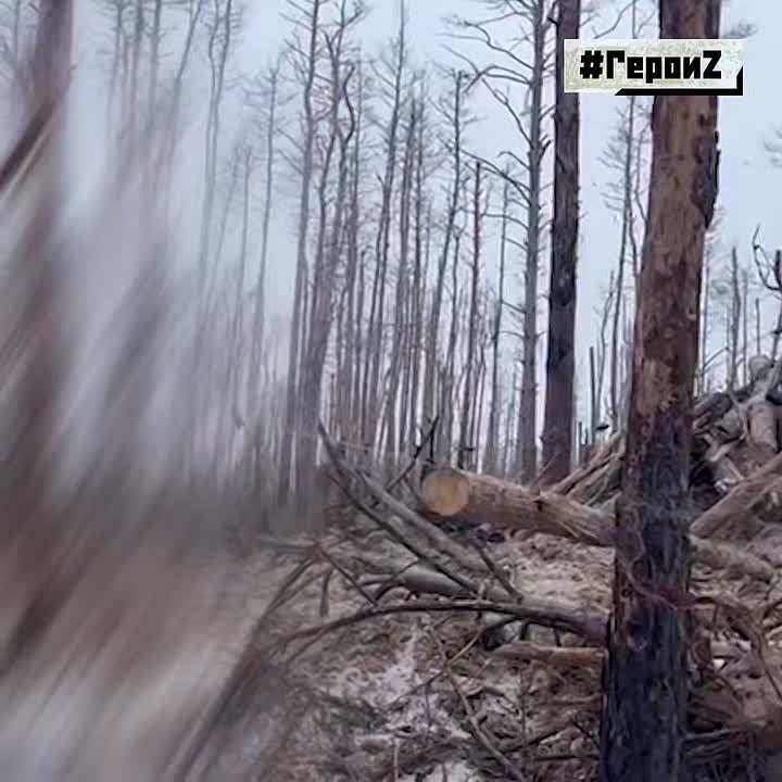 «Юмор спасает в бою, как ни странно. В тяжёлые моменты вспоминаешь дом и близких, кто ждёт там тебя», — командир танка «Шико» из 121-го мотострелкового полка