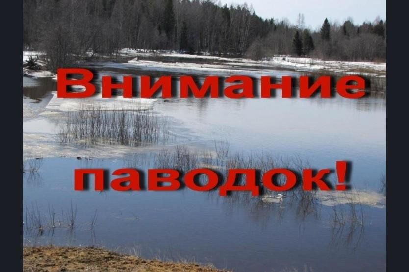 Юлия Кожухарь: УВАЖАЕМЫЕ ЖИТЕЛИ НОВОПСКОВСКОГО МУНИЦИПАЛЬНОГО ОКРУГА!