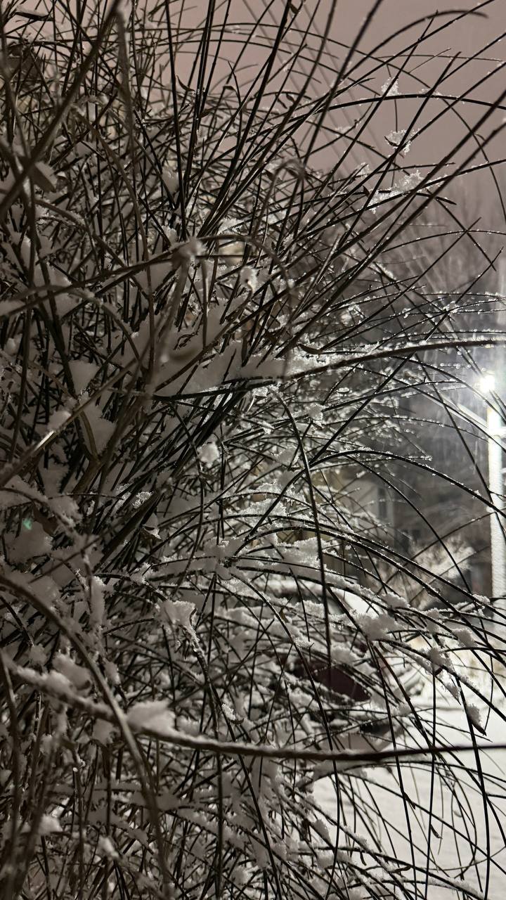 Ой, как красиво за окном. В Луганске настоящая зимняя сказка: за несколько часов выпало около 10 см осадков И да, админ сделал фото ДО комендантского часа