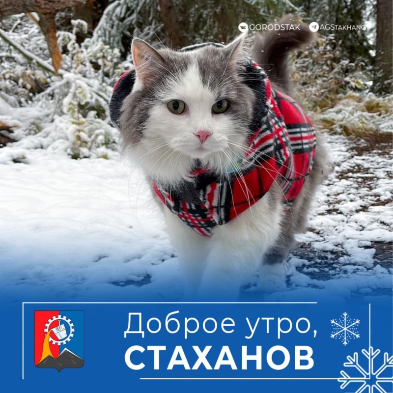 ������ ��������� ����, �����