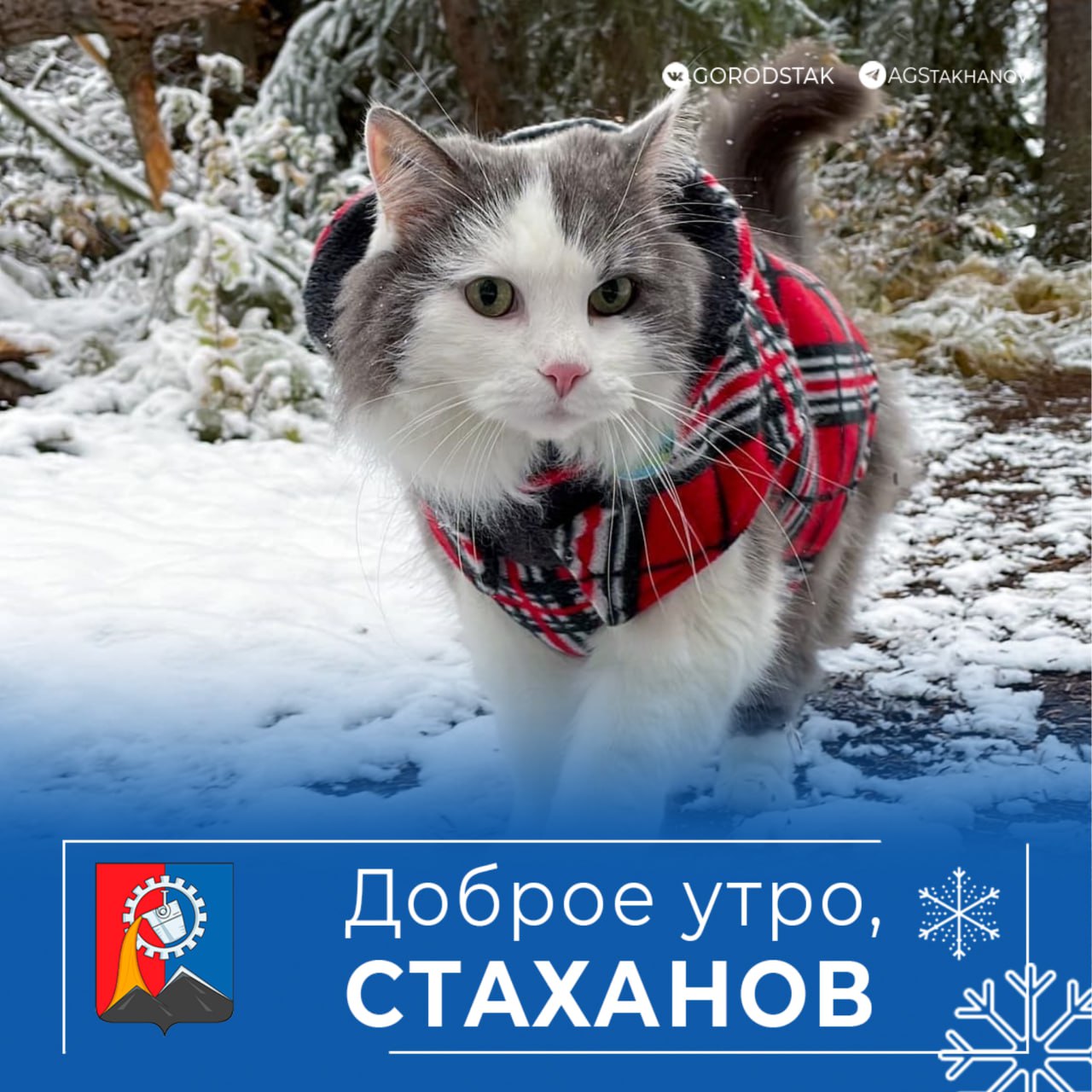 Доброе пятничное утро, город