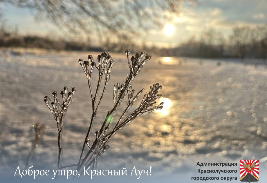 Доброе утро, краснолучане !