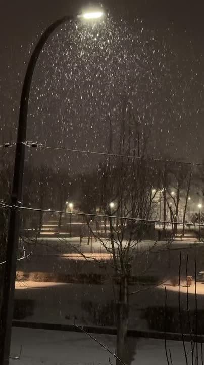 Луганск заметает: на город сыпятся огромные снежные хлопья