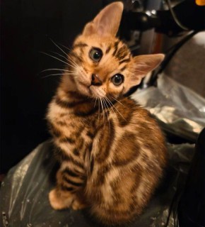 21 февраля на территории Луганской Народной Республики будет облачно с прояснениями