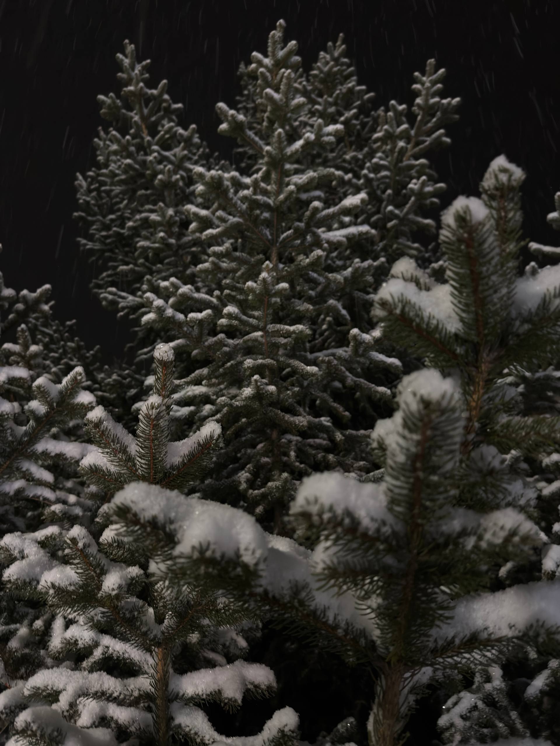 С добрым утром, жители Марковского муниципального округа !