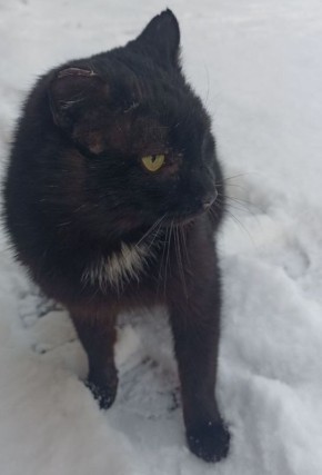 22 ������� �� ���������� ��������� �������� ���������� �������������� ���������� ����������