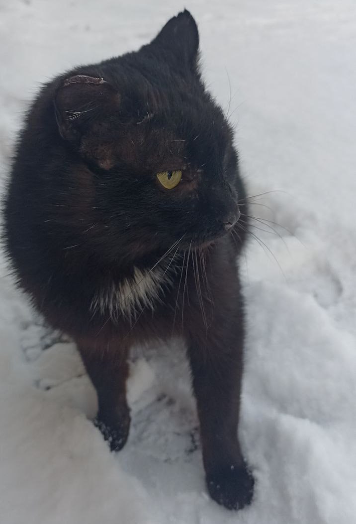 22 февраля на территории Луганской Народной Республики прогнозируется переменная облачность