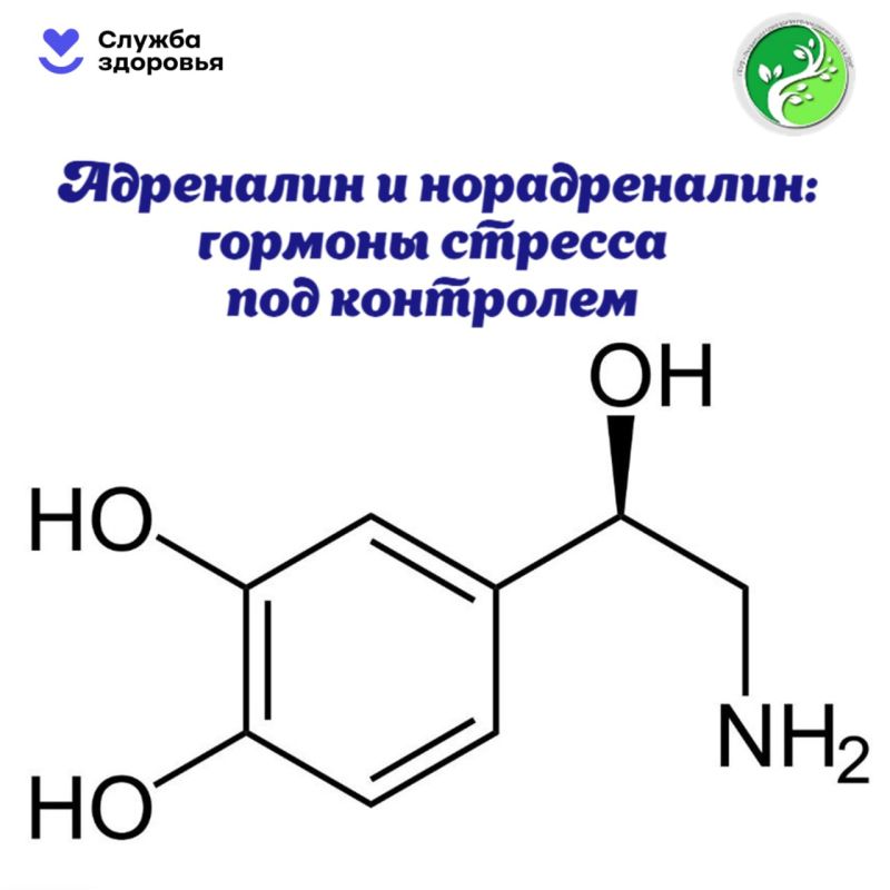 � ������ ������ �������� �������� ���������� ������������ � ���, ��� �������� �������� � �� ��� �������� ��������, ����� ��������� �������� � �������� �� ������ ����