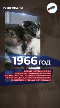 Провели рекордные на тот момент 22 дня в космосе и доказали возможность выживания живых организмов в условиях невесомости