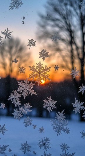 ������ ����, ������� ������ ������ ������!